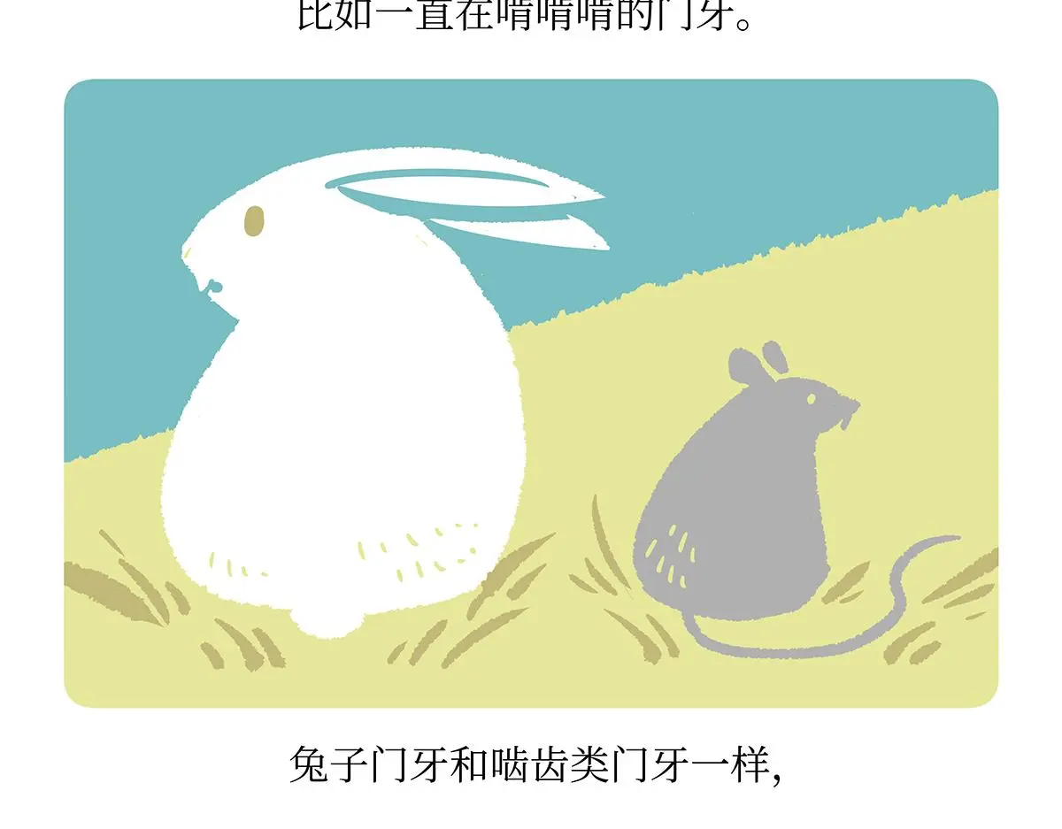 胖达熊猫棒球漫画,第160话2图
