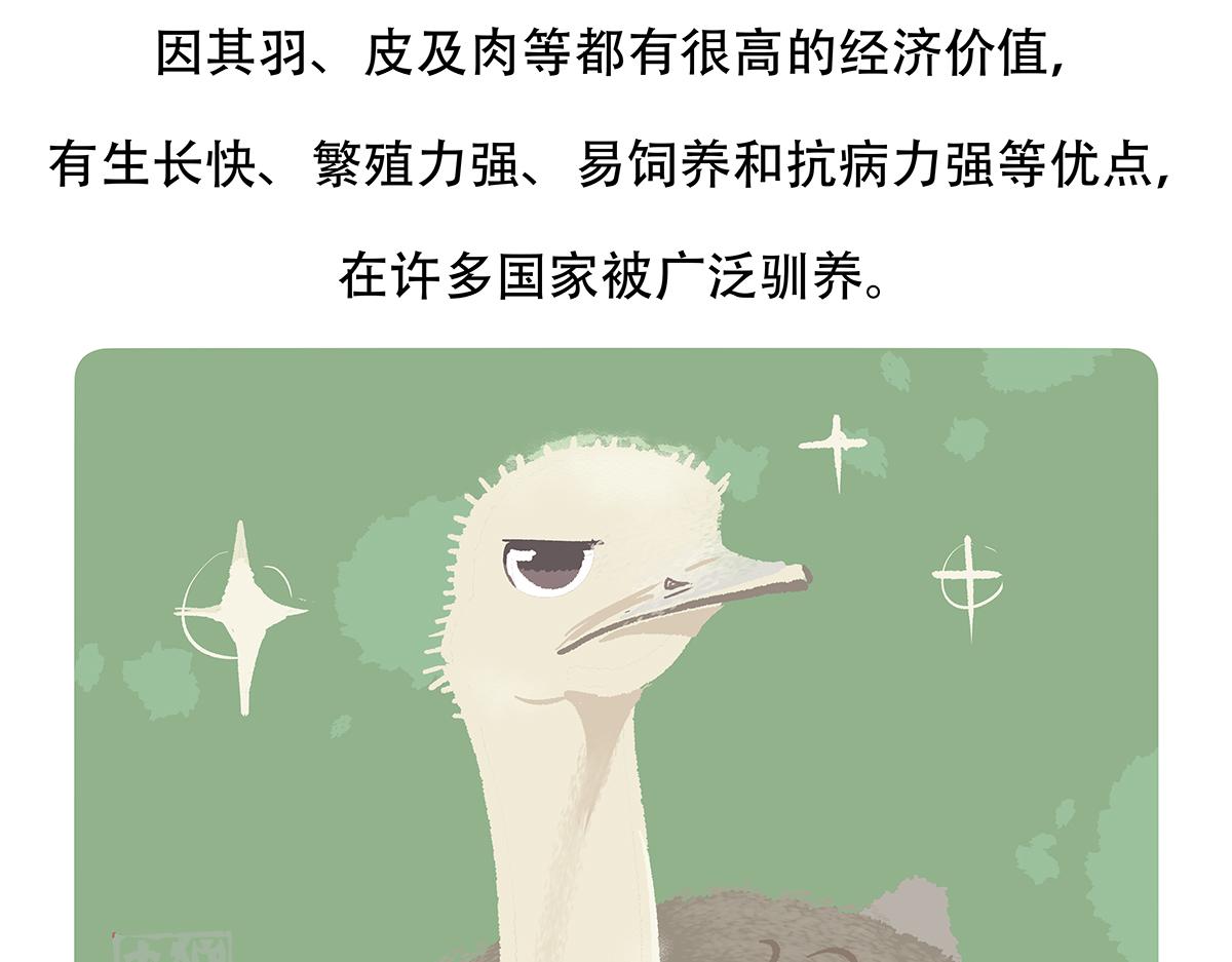 胖达熊猫棒球漫画,第102话1图