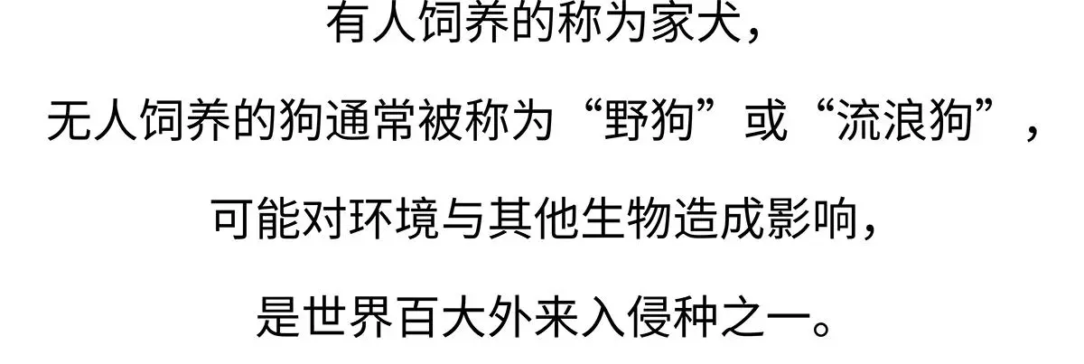 胖达熊猫棒球漫画,第173话2图