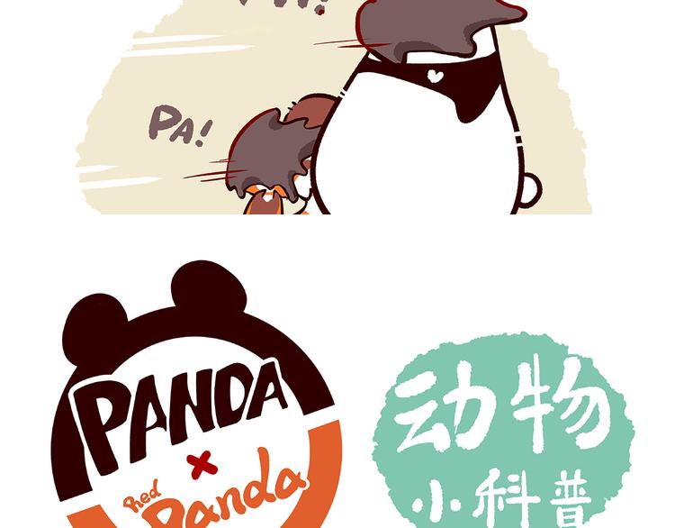 配电箱排地漫画,第10话2图