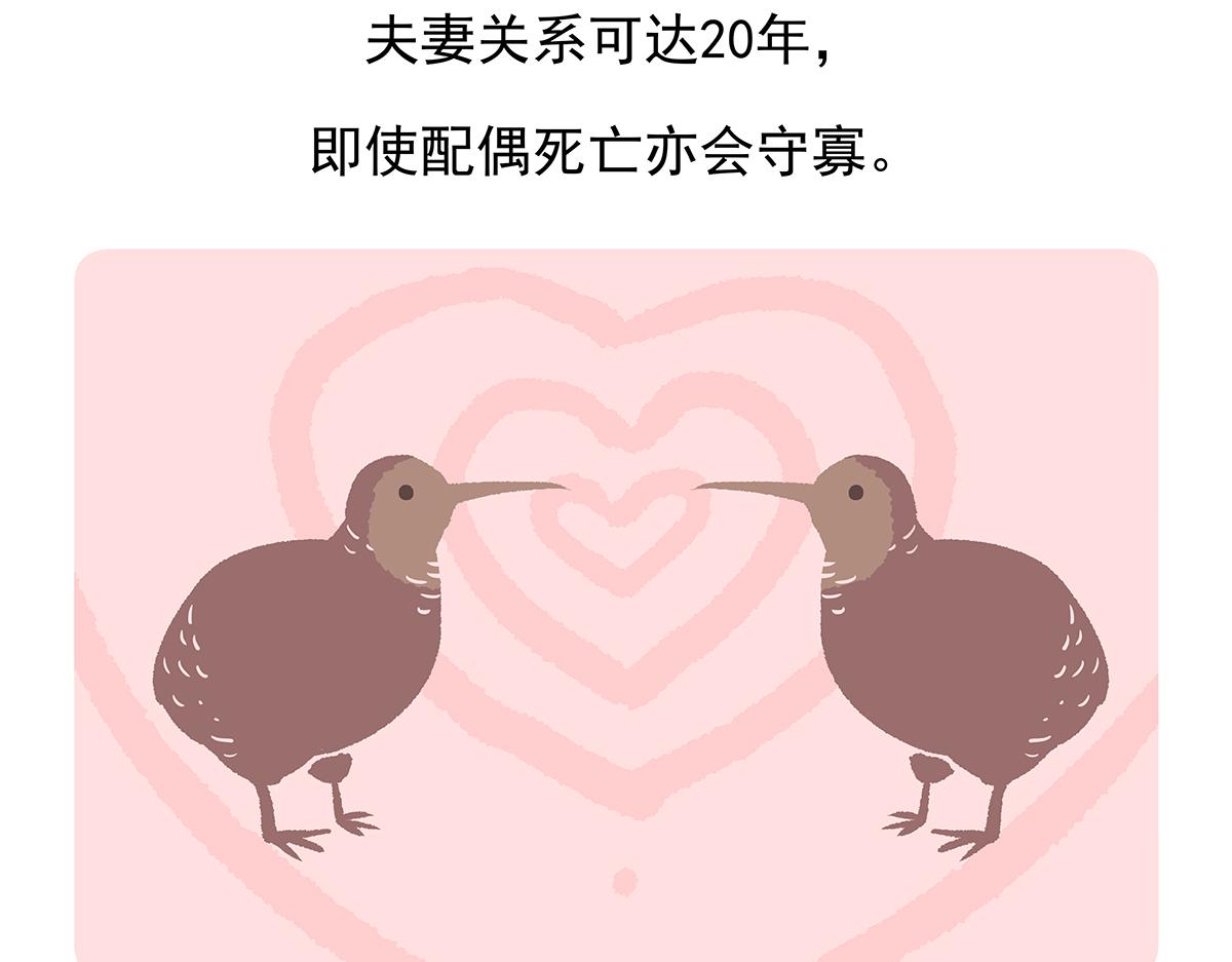 胖达熊猫棒球漫画,第102话1图