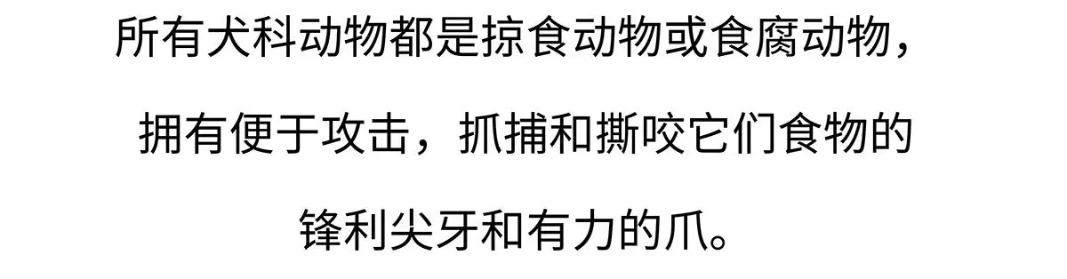 胖达熊猫棒球漫画,第177话2图