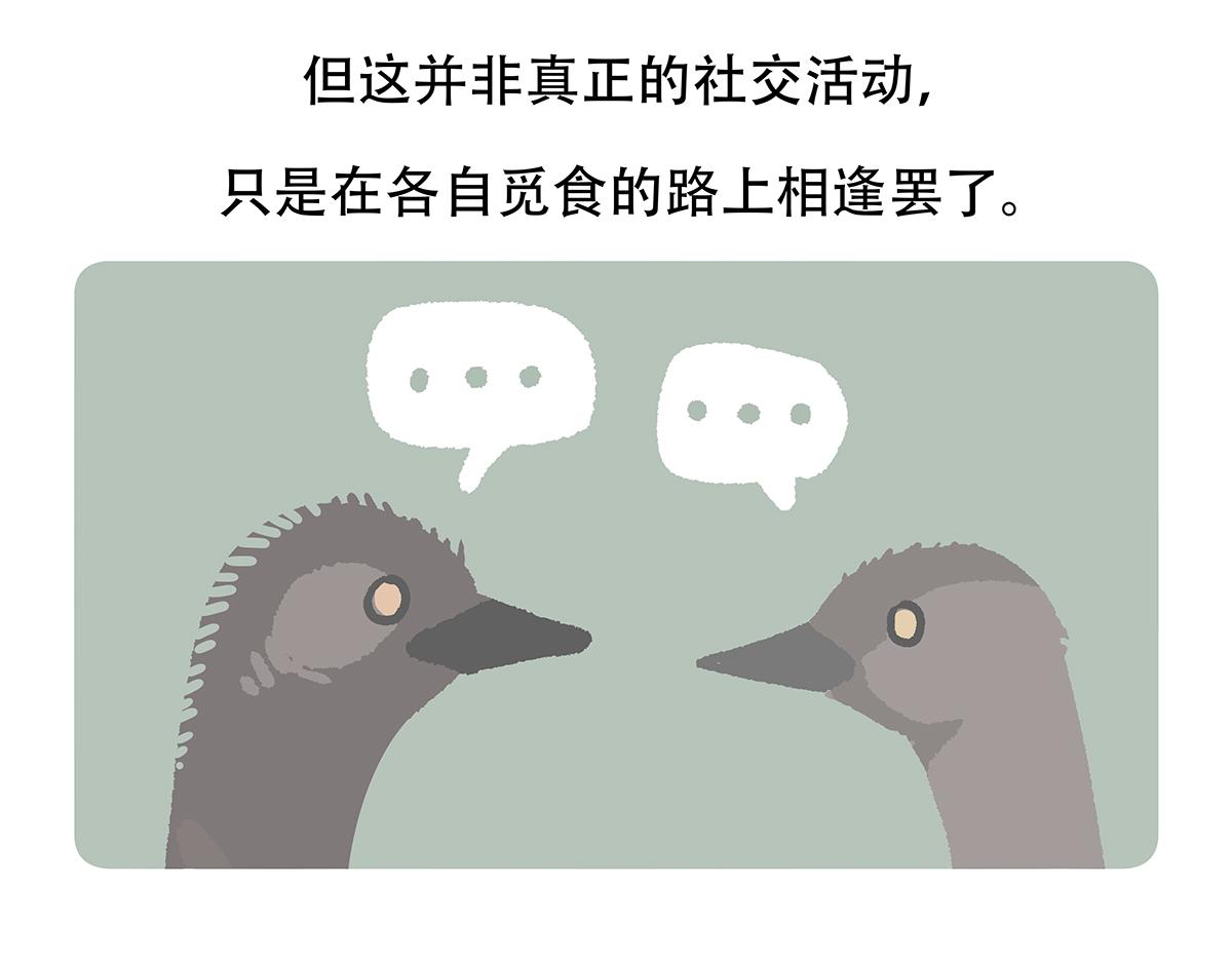 胖达熊猫棒球漫画,第105话2图