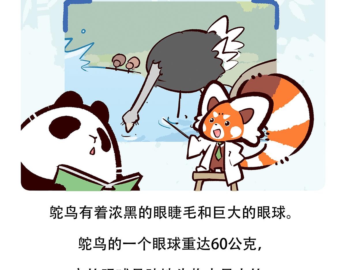 配电箱排地漫画,第103话1图