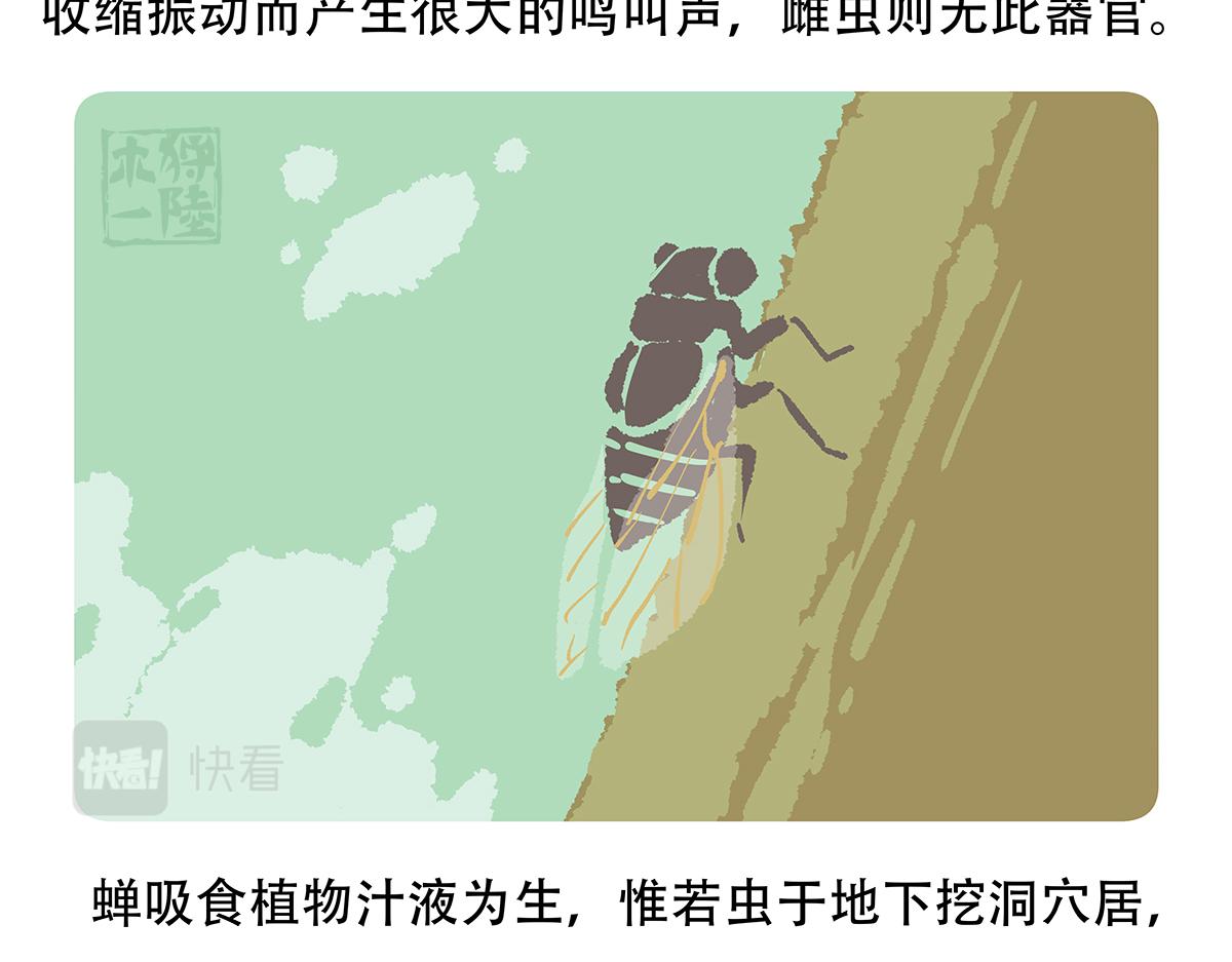 配电箱排地漫画,第134话1图