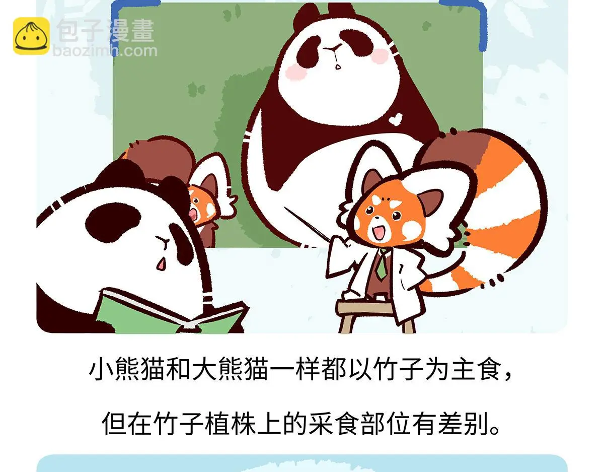 胖达熊猫棒球漫画,第184话1图