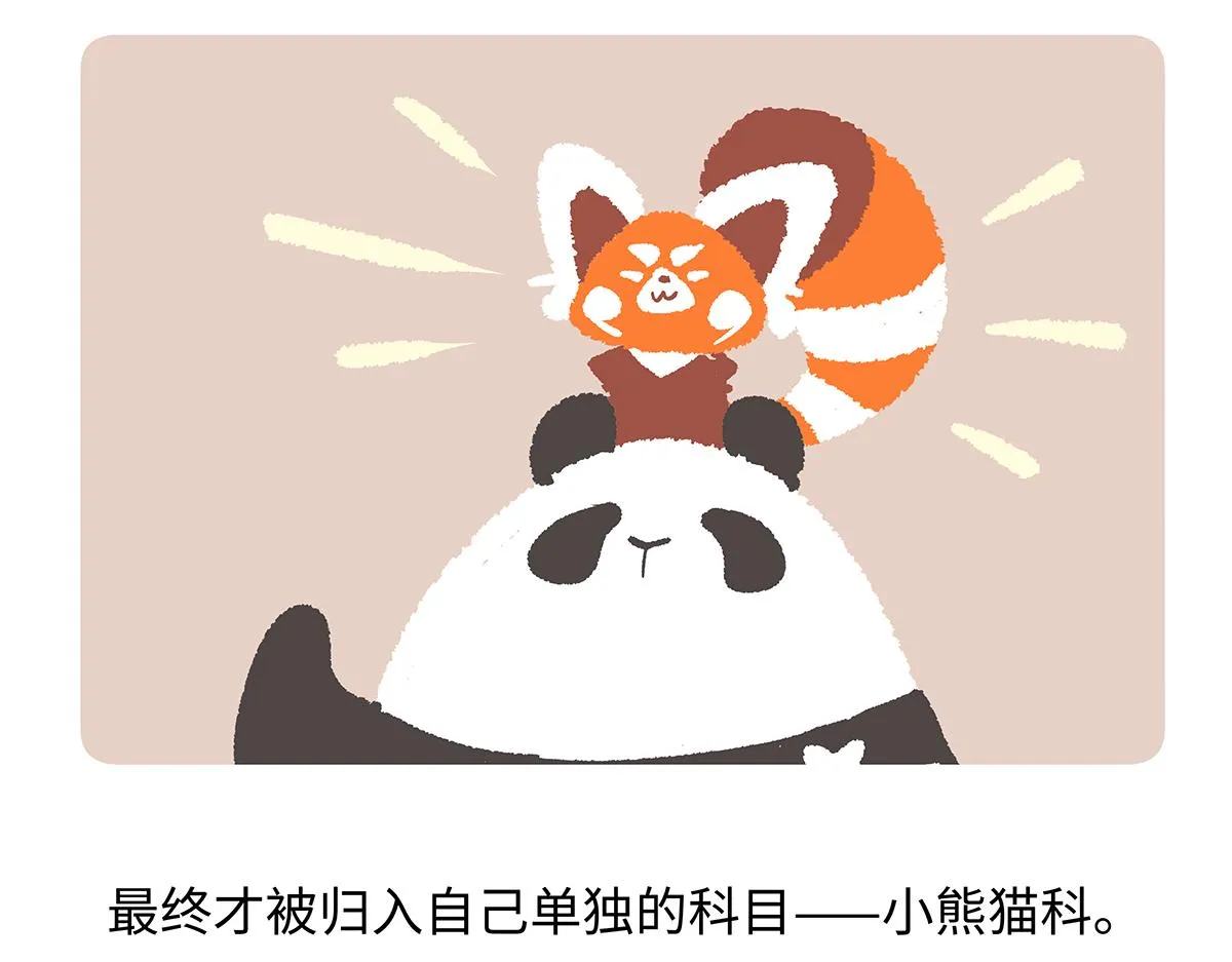 胖达熊猫棒球漫画,第195话1图