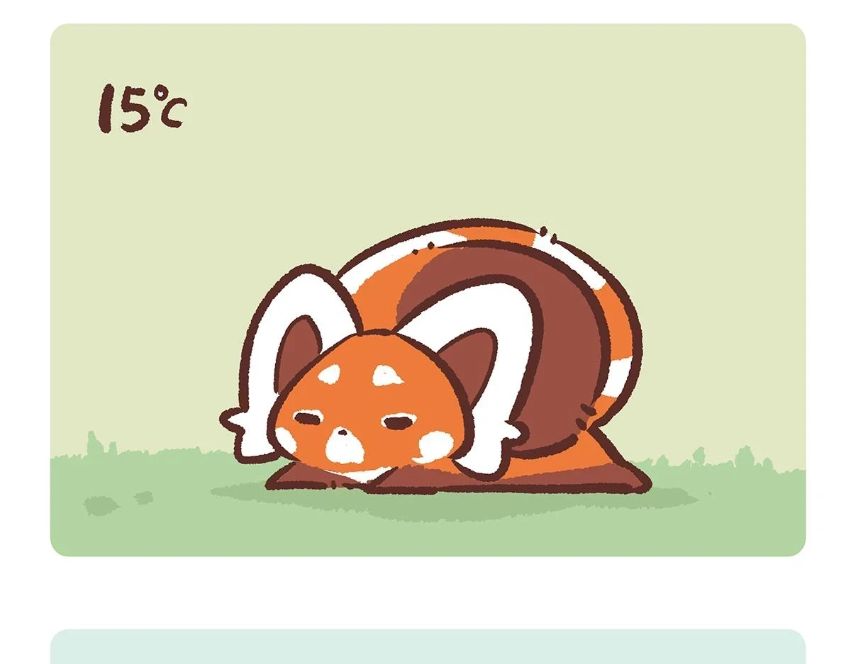 胖达熊猫棒球漫画,第143话1图