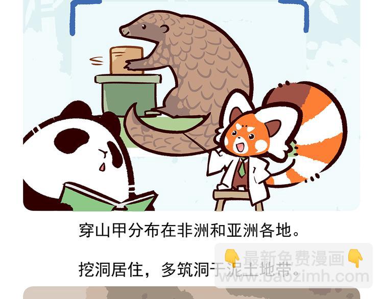 胖达熊猫棒球漫画,第49话2图