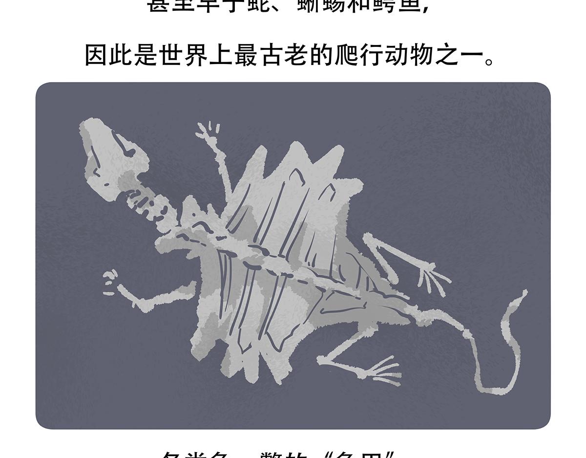 胖达熊猫棒球漫画,第110话1图