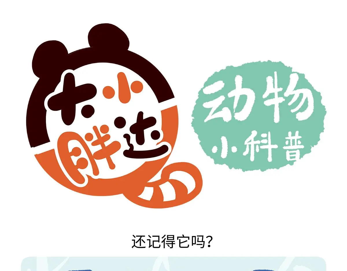 胖达熊猫棒球漫画,第170话2图
