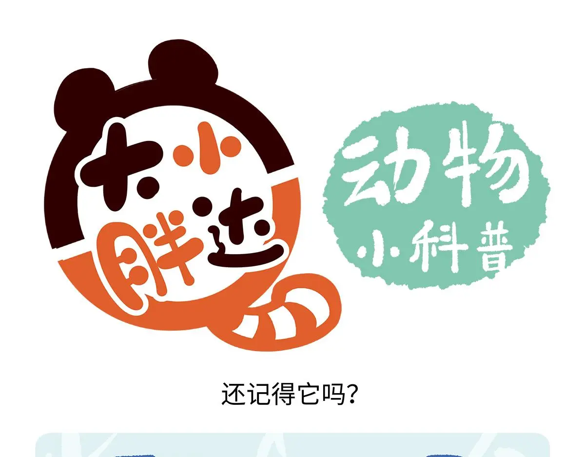 胖达熊猫棒球漫画,第170话1图