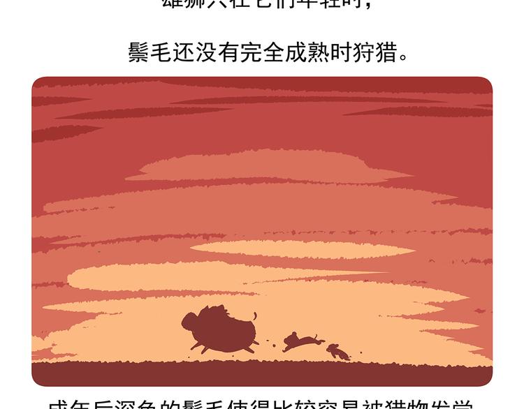 胖达熊猫棒球漫画,第8话1图