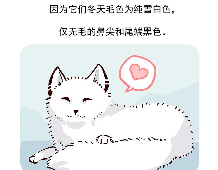 胖达熊猫棒球漫画,第31话2图
