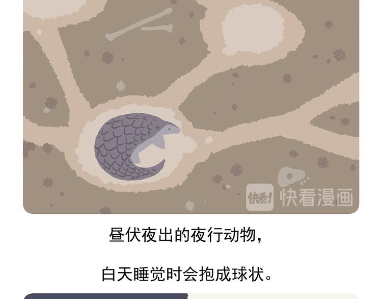 胖达熊猫棒球漫画,第49话1图