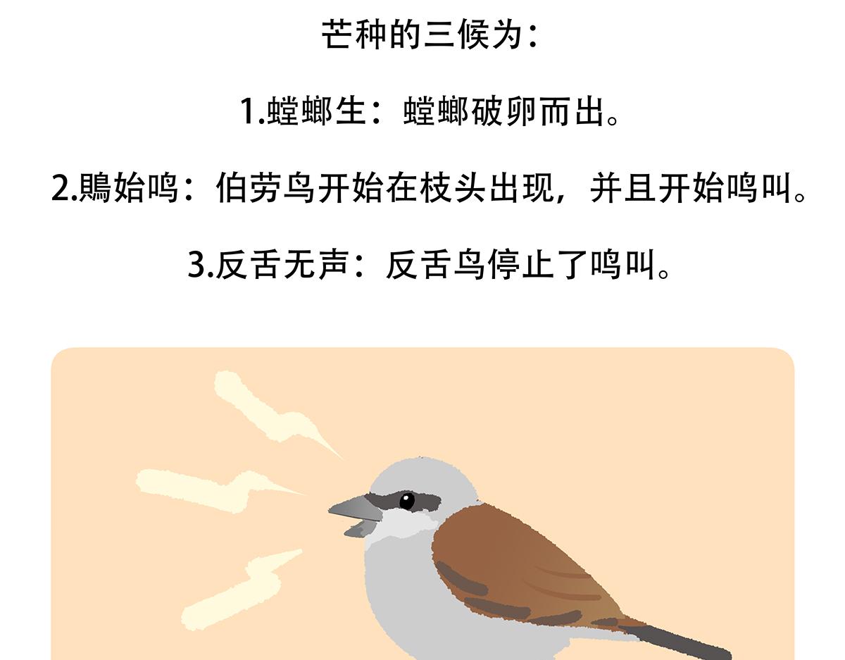胖达熊猫棒球漫画,第133话2图