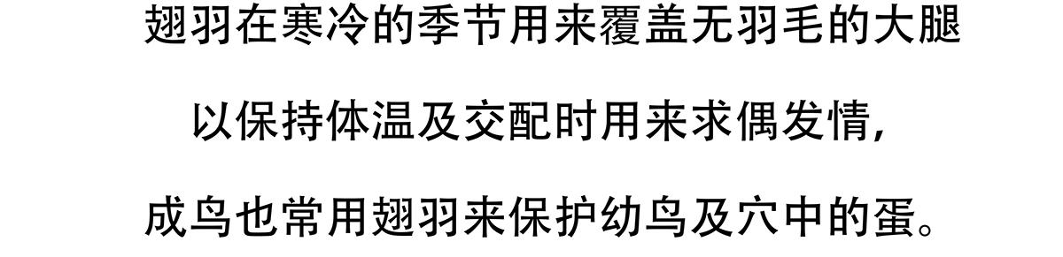 配电箱排地漫画,第103话2图