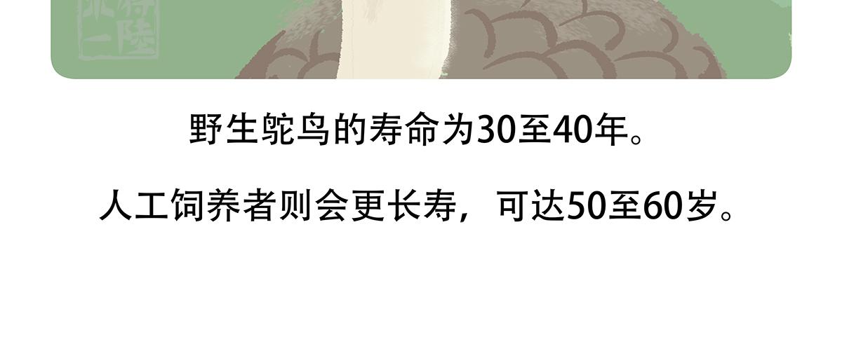 胖达熊猫棒球漫画,第102话2图