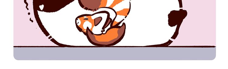 胖达熊猫棒球漫画,第17话1图