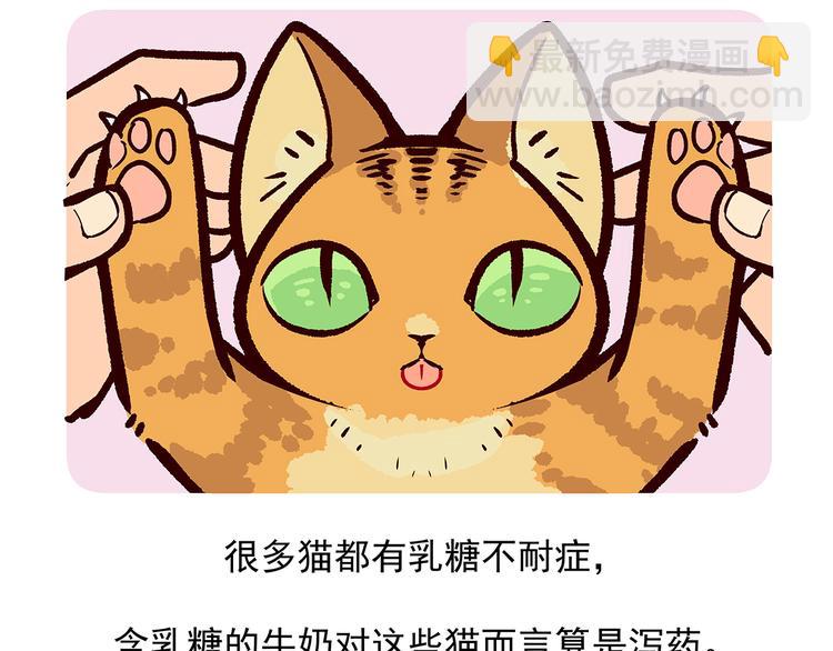 胖达熊猫棒球漫画,第38话1图