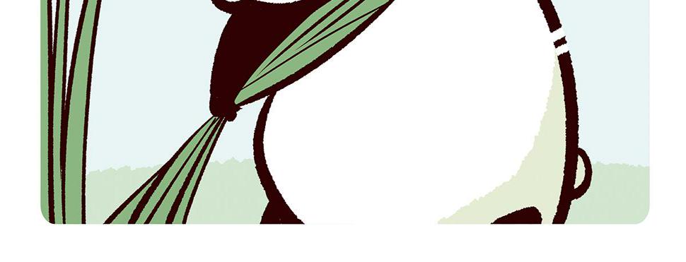 胖达熊猫棒球漫画,第104话2图