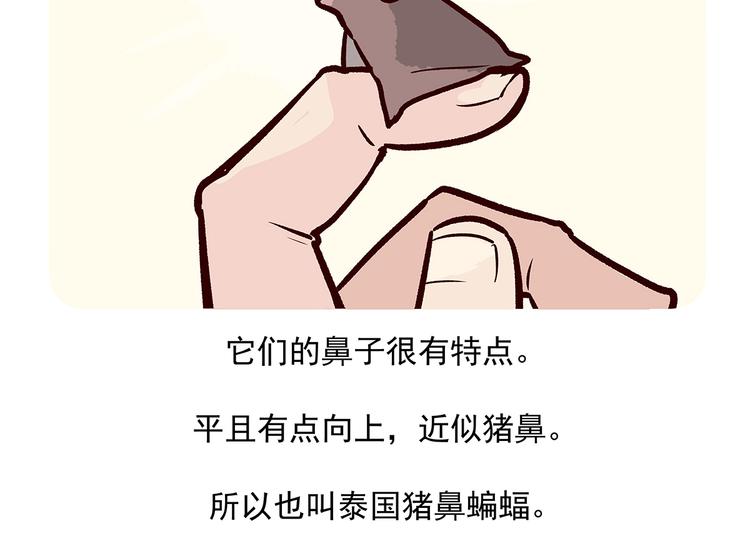配电箱排地漫画,第14话1图