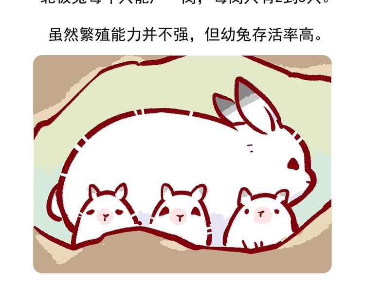 配电箱排地漫画,第33话2图