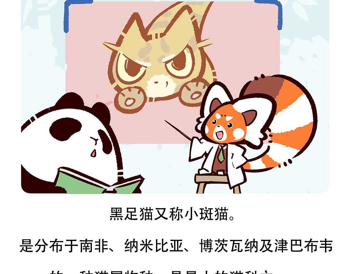 胖达熊猫棒球漫画,第116话2图