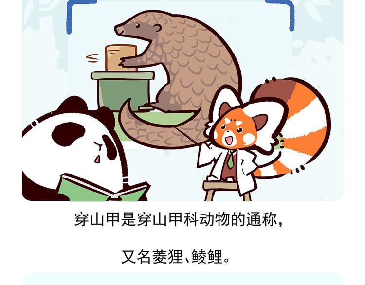 胖达熊猫棒球漫画,第49话2图