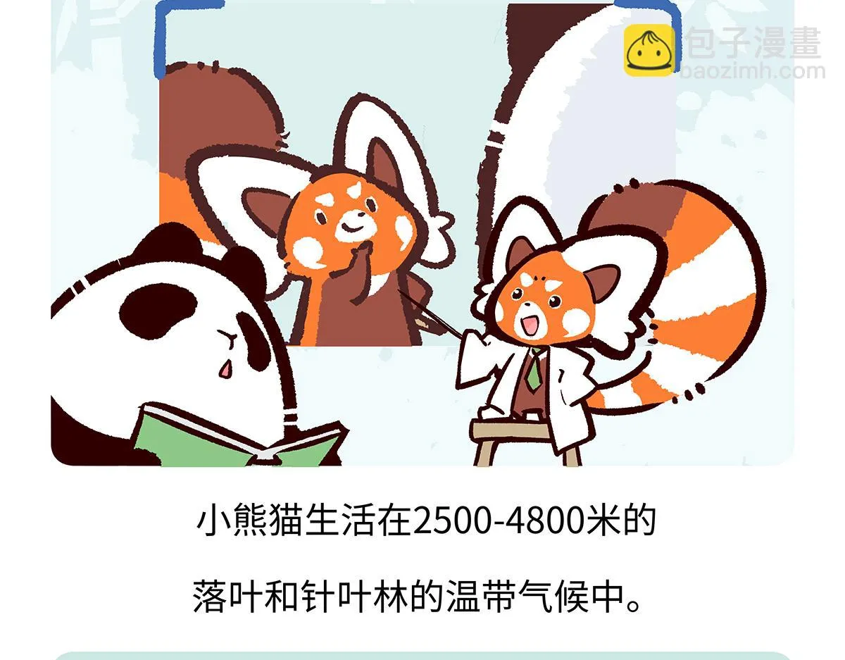 胖达熊猫棒球漫画,第195话1图