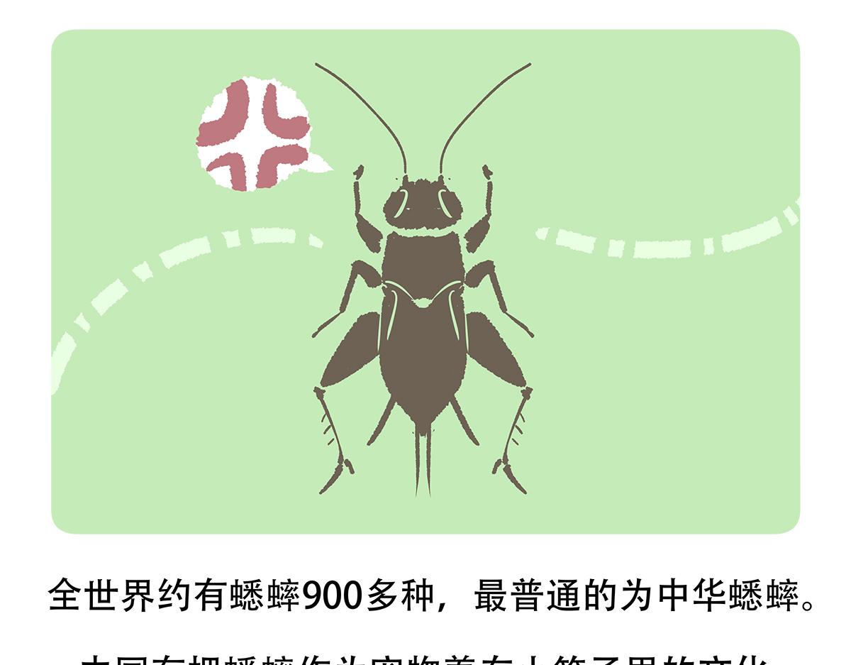 配电箱排地漫画,第136话1图