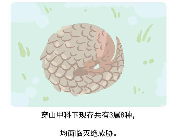 胖达熊猫棒球漫画,第49话1图