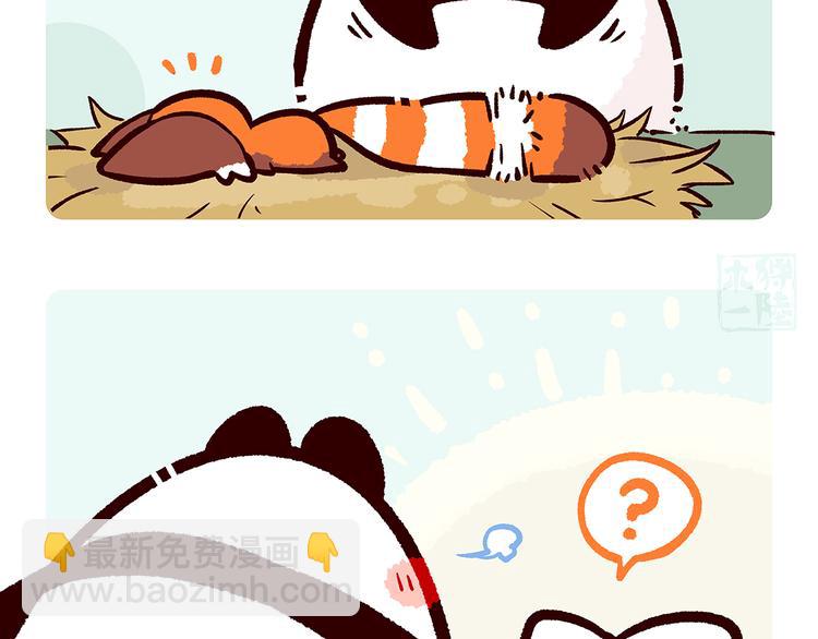 胖达熊猫棒球漫画,第8话1图