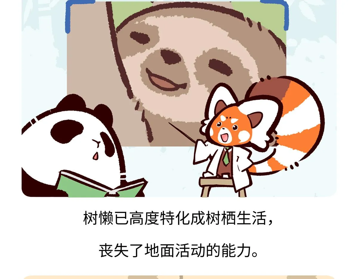 胖达熊猫棒球漫画,第212话2图