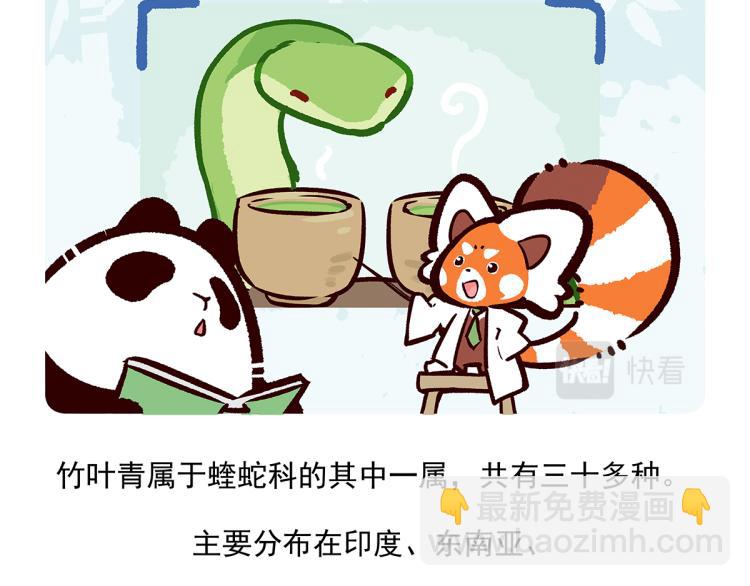 配电箱排地漫画,第74话2图