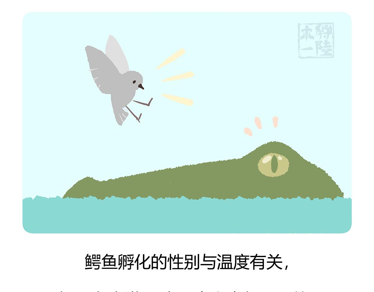 胖达熊猫棒球漫画,第113话1图