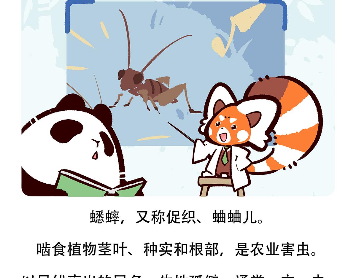 胖达熊猫棒球漫画,第136话2图