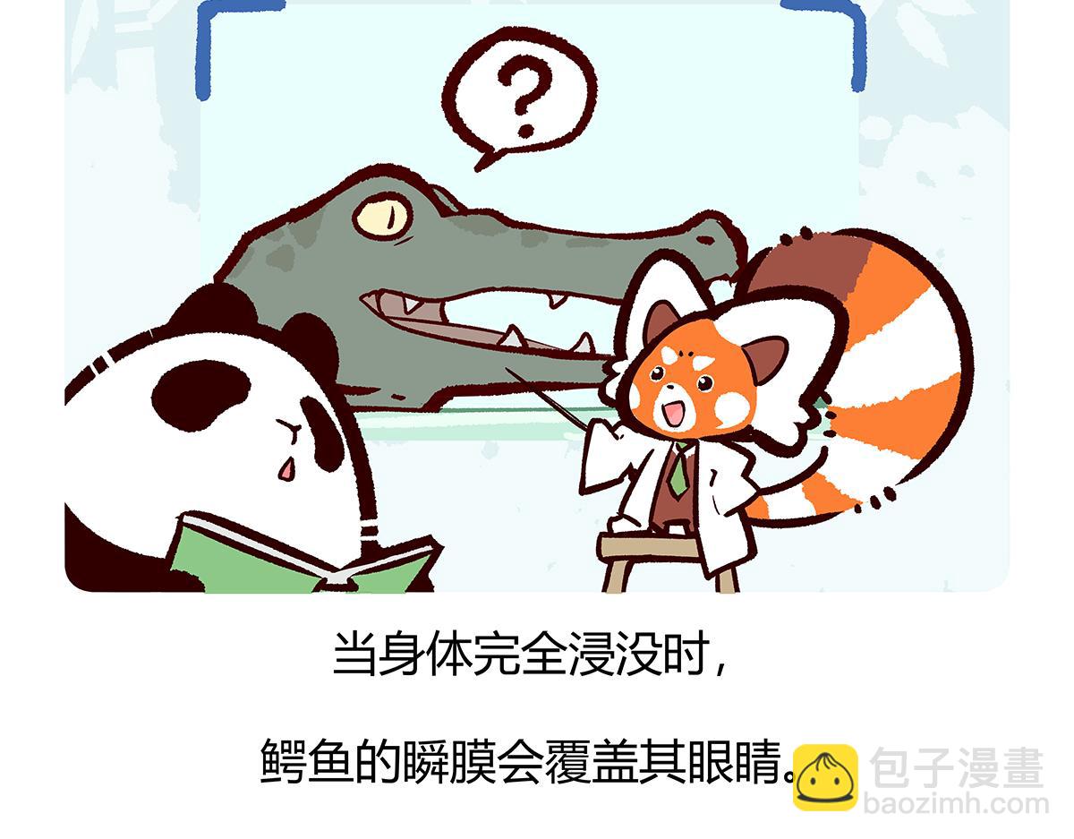 胖达熊猫棒球漫画,第113话2图