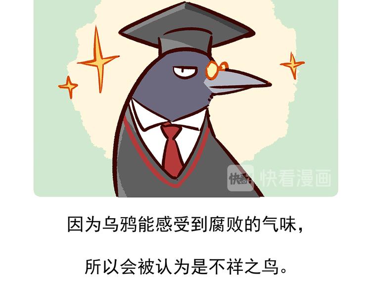 胖达熊猫棒球漫画,第21话1图