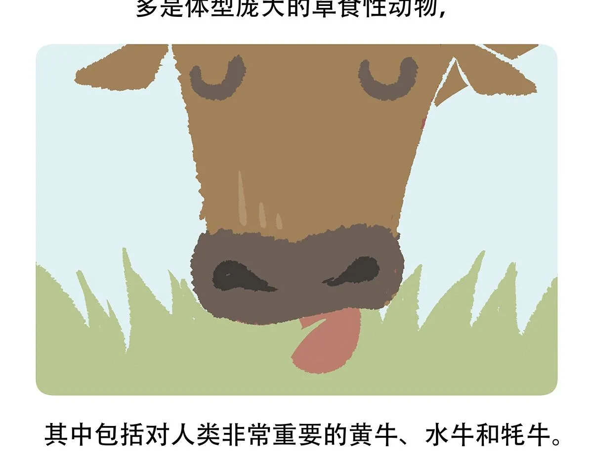 胖达熊猫棒球漫画,第155话2图