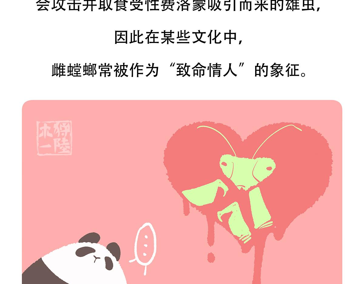 胖达熊猫棒球漫画,第133话2图
