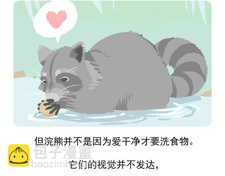 胖达熊猫棒球漫画,第47话2图