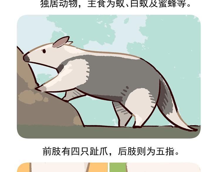 胖达熊猫棒球漫画,第22话1图