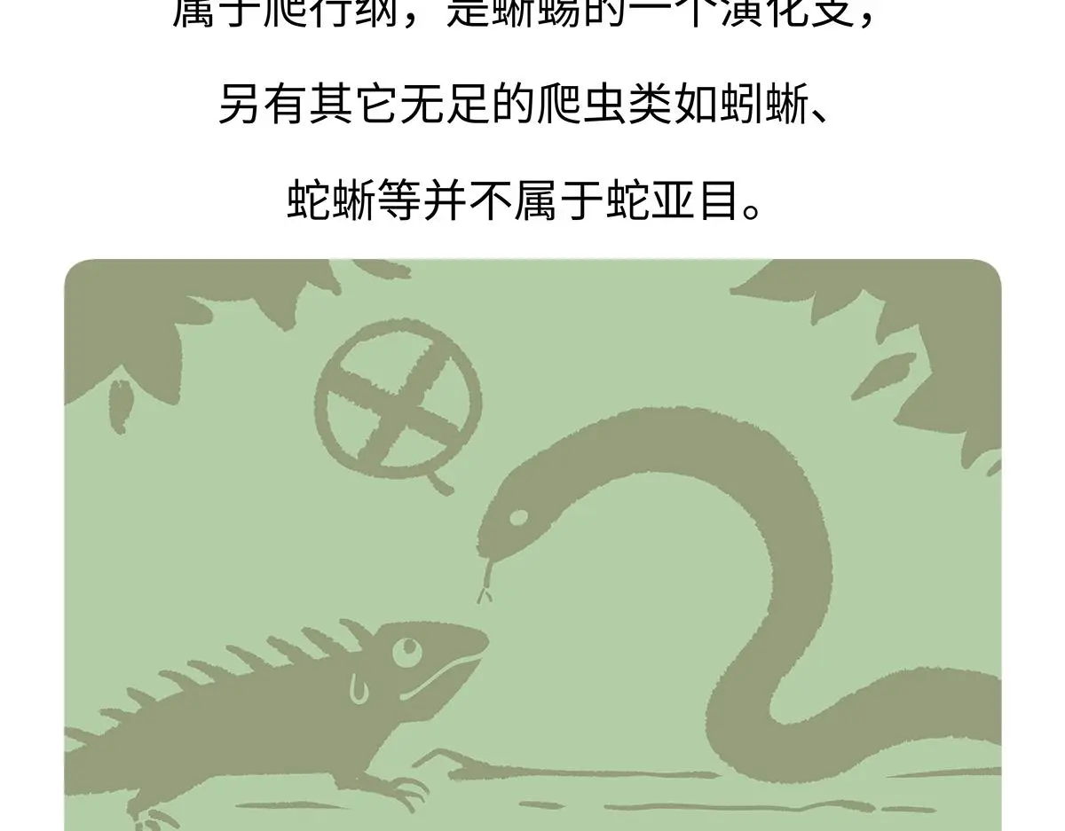 胖达熊猫棒球漫画,第163话1图