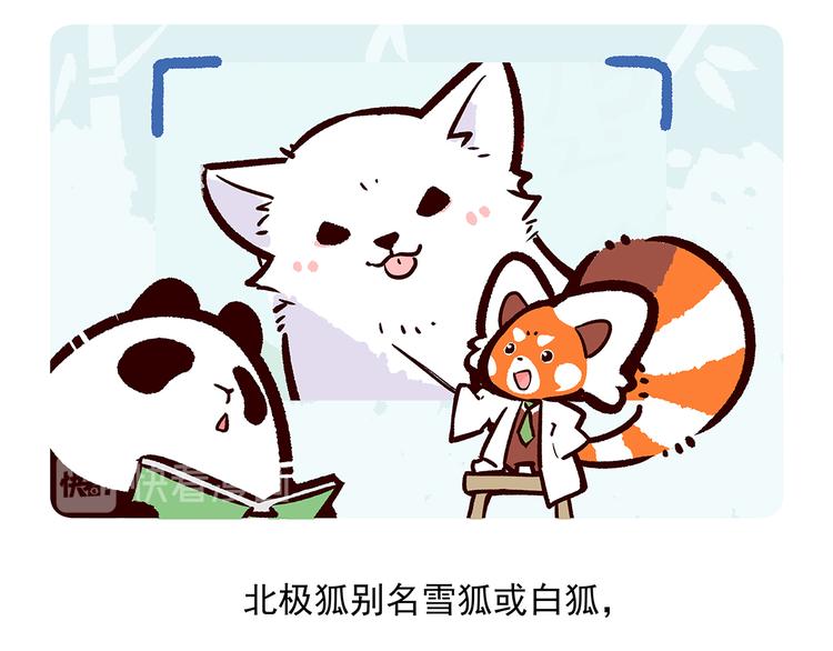 胖达熊猫棒球漫画,第31话1图