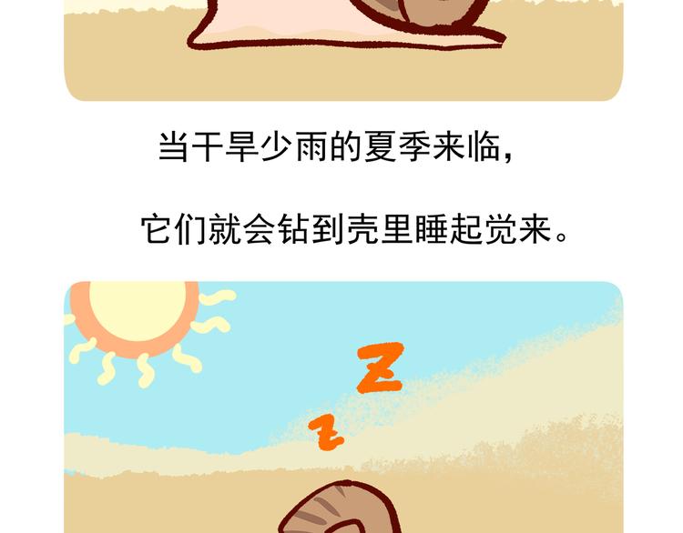 胖达熊猫棒球漫画,第4话1图