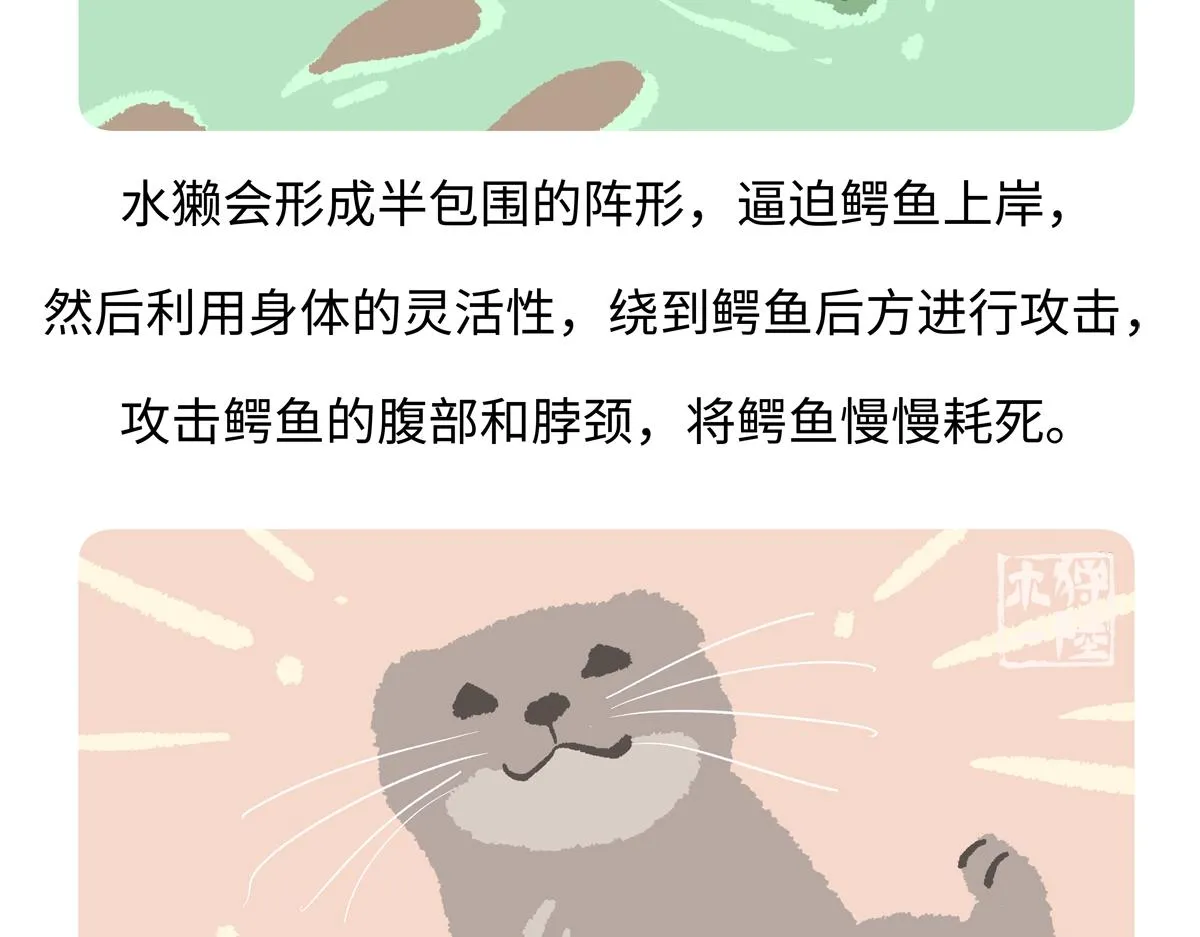 胖达熊猫棒球漫画,第202话2图