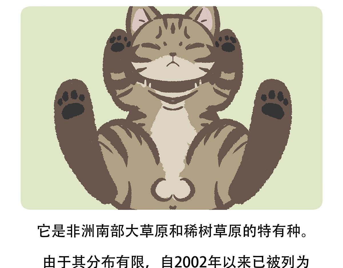 胖达熊猫棒球漫画,第116话1图