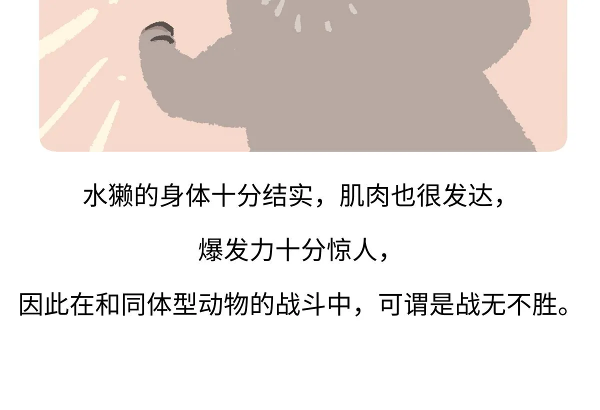 胖达熊猫棒球漫画,第202话1图