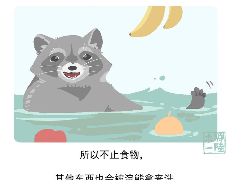 胖达熊猫棒球漫画,第47话1图